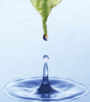 water droplet